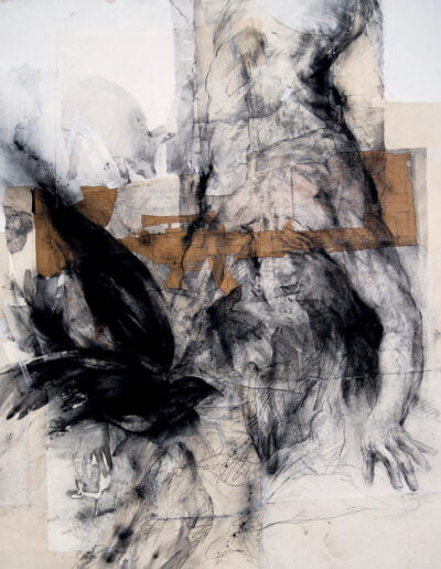 The Birds of Paquime, 2007, Charcoal and tape on paper mounted on canvas, 95 x 72 in.