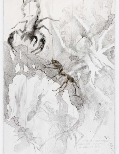 James Drake - Metalpoint Drawings - Hanging From a Mangled Sky