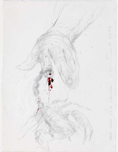 James Drake - Metalpoint Drawings - Man Stung by a Scorpion