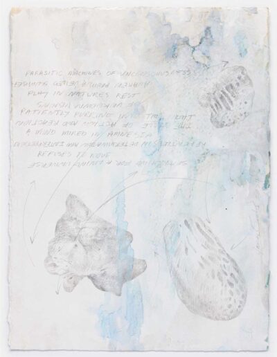 James Drake - Metalpoint Drawings - Parasitic Machines