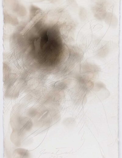 James Drake - Metalpoint Drawings - Between the Pistil and the Petal